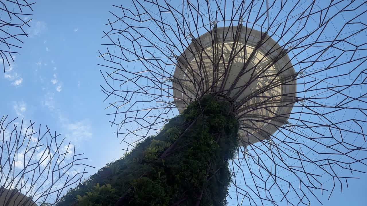 Singapore gardens by the bay trees Supertree Grove daytime