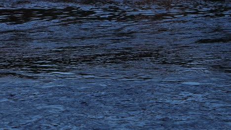 calm dark river flowing in the evening