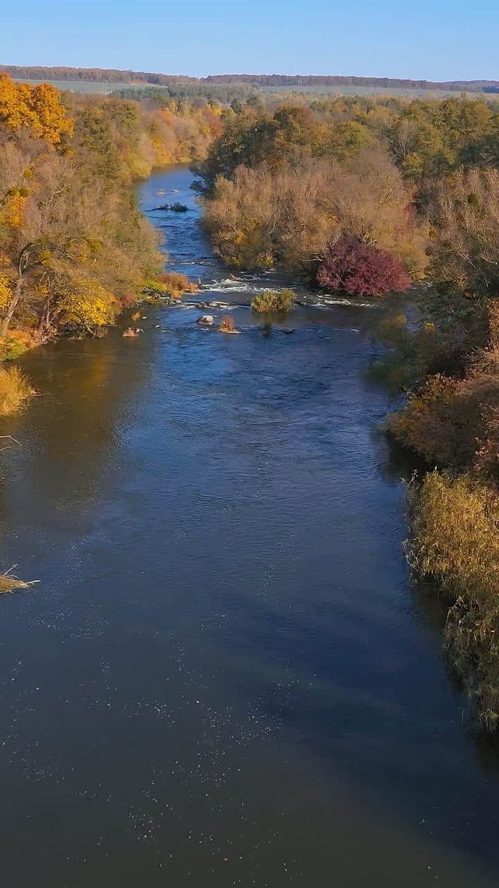 Scenario di splendido paesaggio autunnale. Vista dall'alto della foresta e del fiume autunnale.