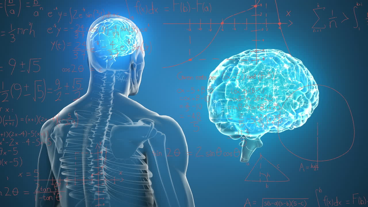 Animation of human brains and body over mathematical equations and diagrams on blue background
