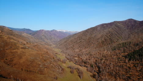 scenic mountain valley landscape with bare trees and river
