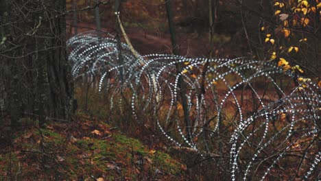 Stacheldraht-Zum-Grenzschutz