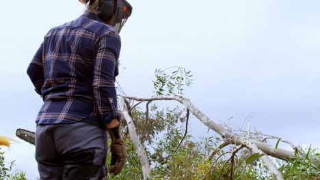 Lumberjack-looking-at-fallen-tree-4k