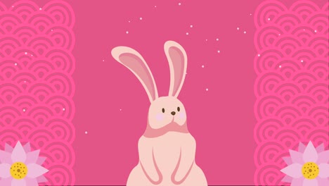cute rabbit with flowers animation