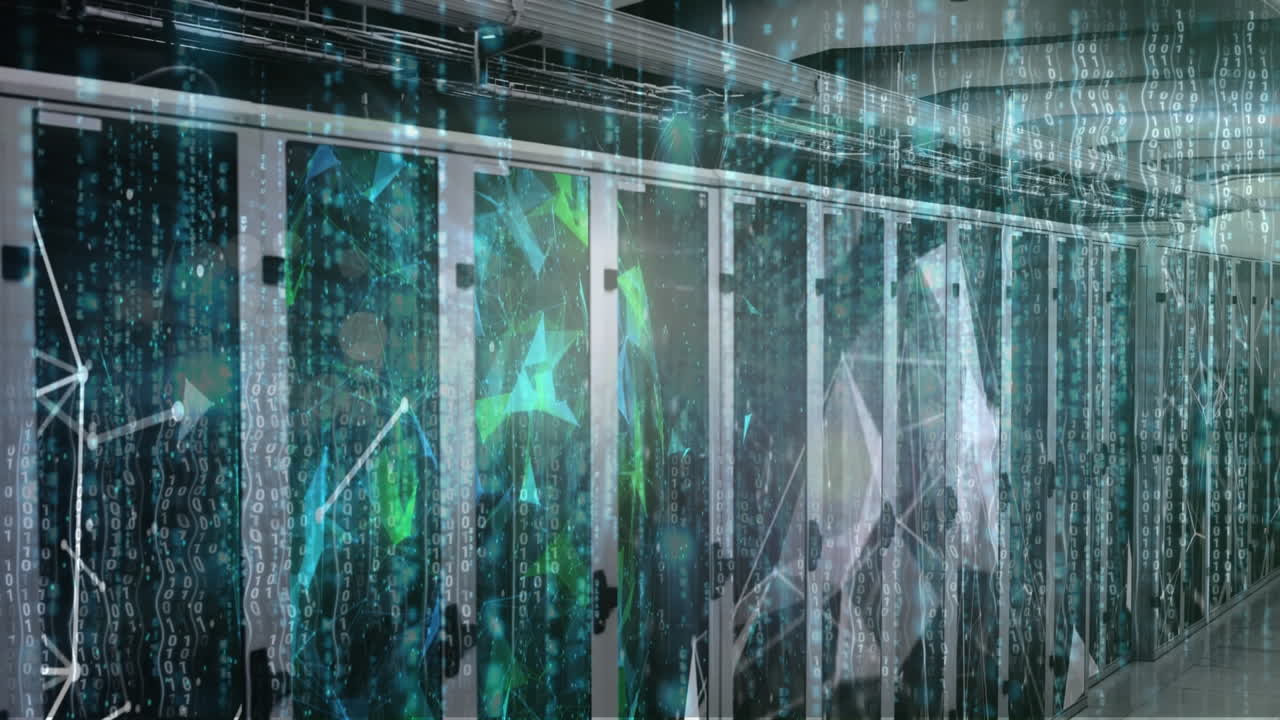 컴퓨터 서버  ⁇ 에 대한 데이터 처리 및 플렉서스 네트워크의 애니메이션