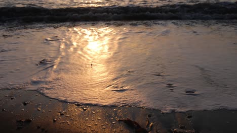 slow motion of waves coming onto the beach sand