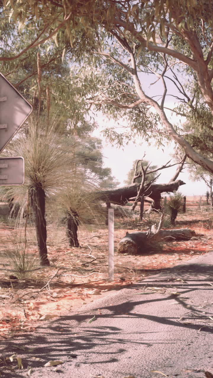 오스트레일리아 아웃백 도로  장면