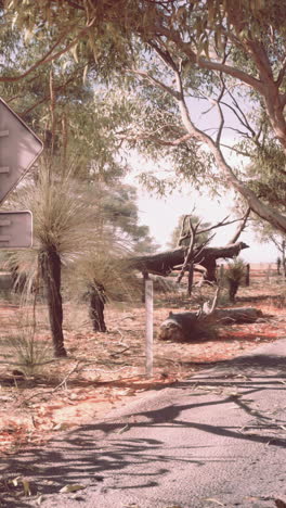 escena en la carretera del interior de australia