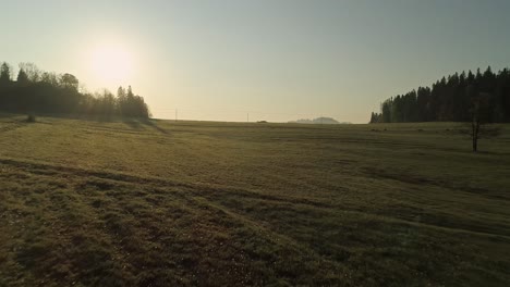 Ländliche-Landschaft-Mit-Kühen-Auf-Der-Wiese---Luftrückzug