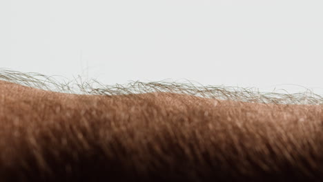 close-up of human forearm skin and hair