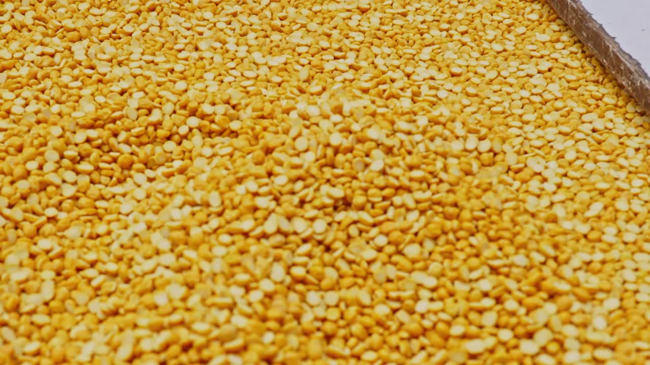 chana dal or split chickpeas, stable shot, 4k.