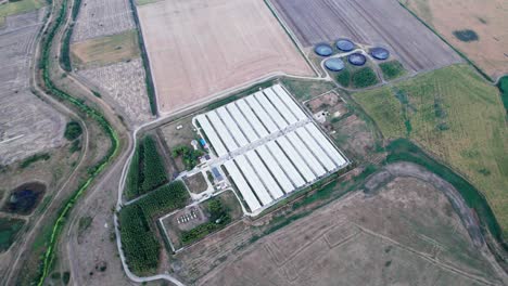 Flug-über-Industrielle-Amerikanische-Schweinefarm