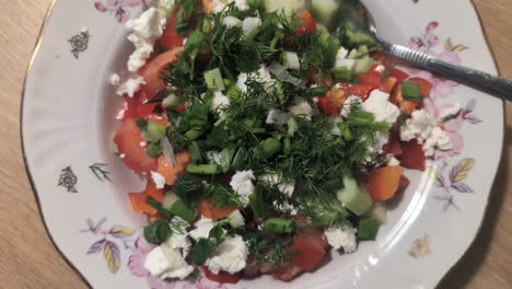 Bowl-of-fresh-Eastern-Europe-salads,-top-down-view