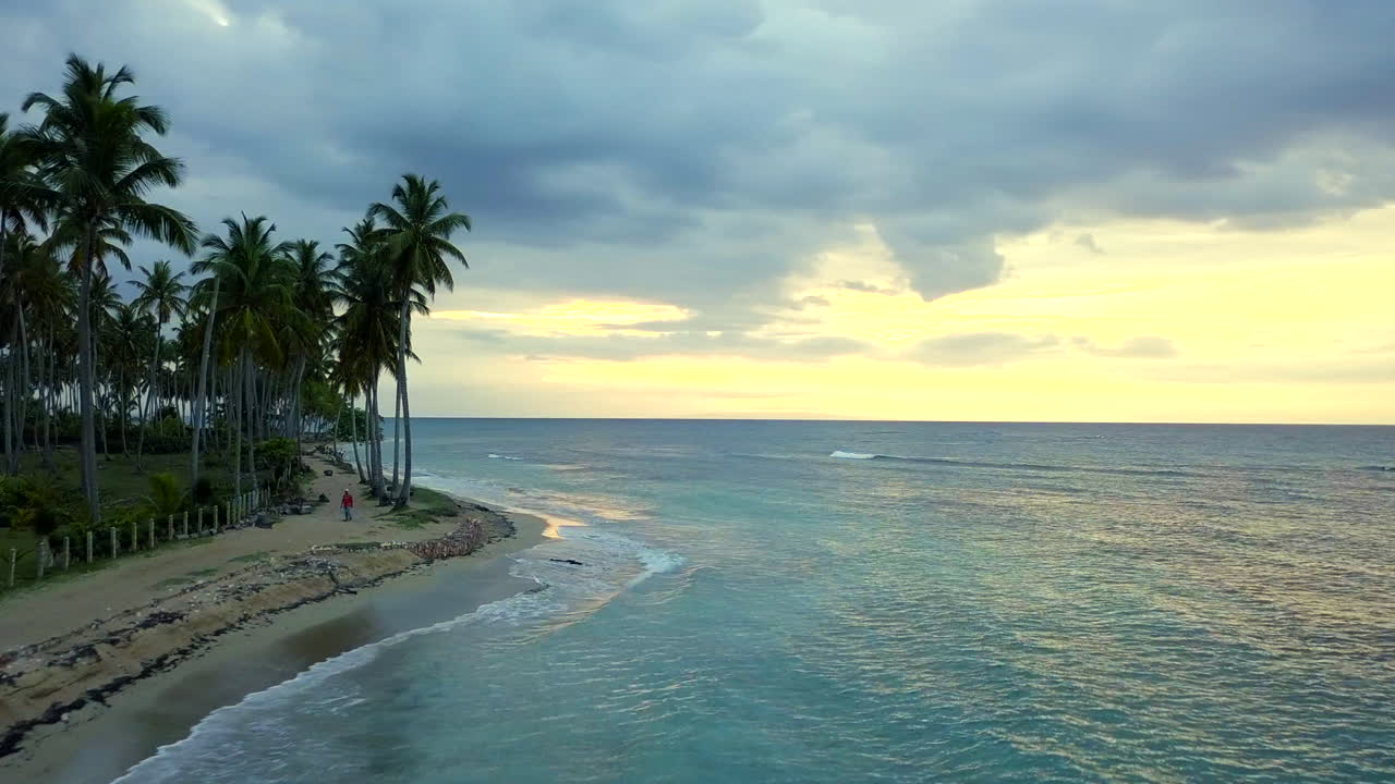 Voando sobre uma praia exótica com palmeiras ao pôr do sol