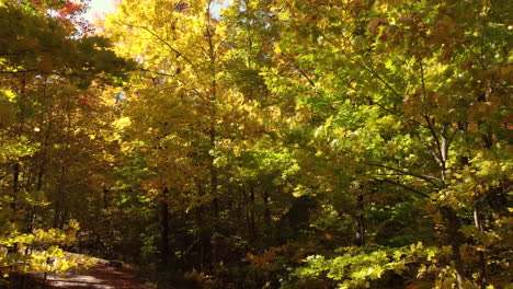 Cinematic-crane-shot-of-heavy-wind-blowing-golden-autumn-leaves-from-the-trees-falling-on-ground