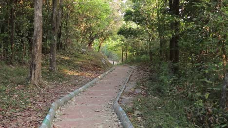 hacia la naturaleza