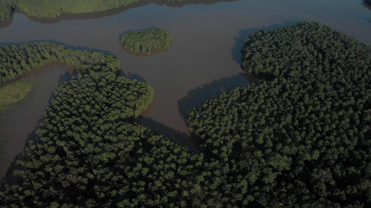 케이프 공포 강 범람의 드론 샷