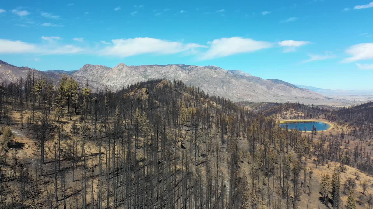 antena sobre el bosque destruido quemado y la destrucción del desierto del fuego caldor cerca del lago tahoe, california