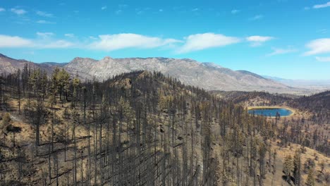 Antena-Sobre-El-Bosque-Destruido-Quemado-Y-La-Destrucción-Del-Desierto-Del-Fuego-Caldor-Cerca-Del-Lago-Tahoe,-California