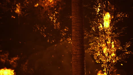 fire spreads rapidly through forested area during nighttime blaze