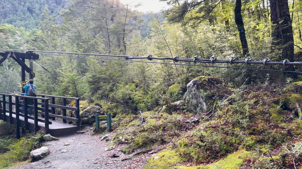 A serene walk across a cable bridge in lush, mossy forest with soft natural lighting