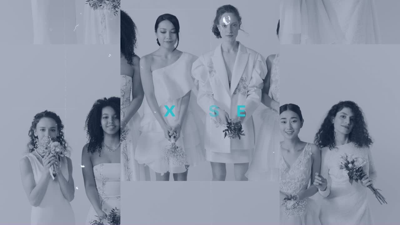 Slideshow video template - 17 placeholders,10 Text placeholders,Color control