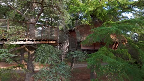 Toma-Aérea-Lenta-De-Establecimiento-De-Una-Casa-En-Un-árbol-En-Un-Bosque-En-Francia