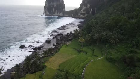 a beautiful view of pangasan beach in pacitan, east java, indonesia. it features distinctive large coral reefs and terraced rice fields