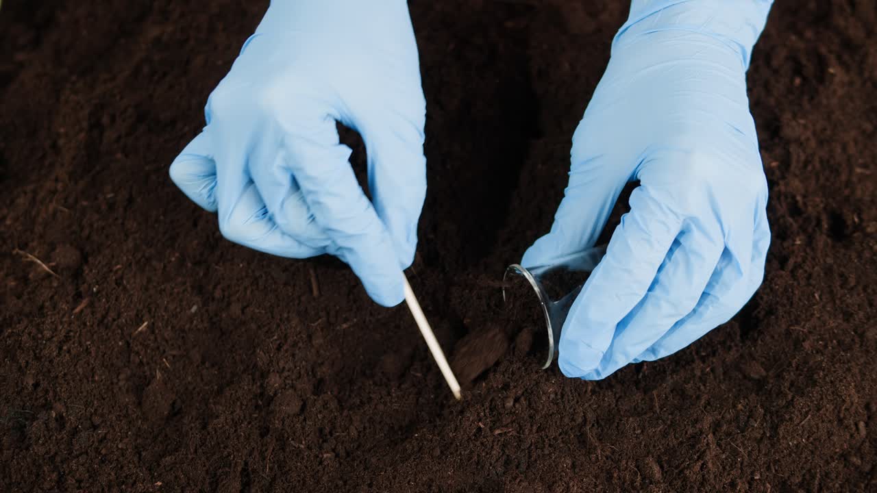 Soil Testing Experiment