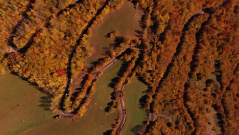 Aerial-bird's-eye-rotation-shot-of-a-serpentine