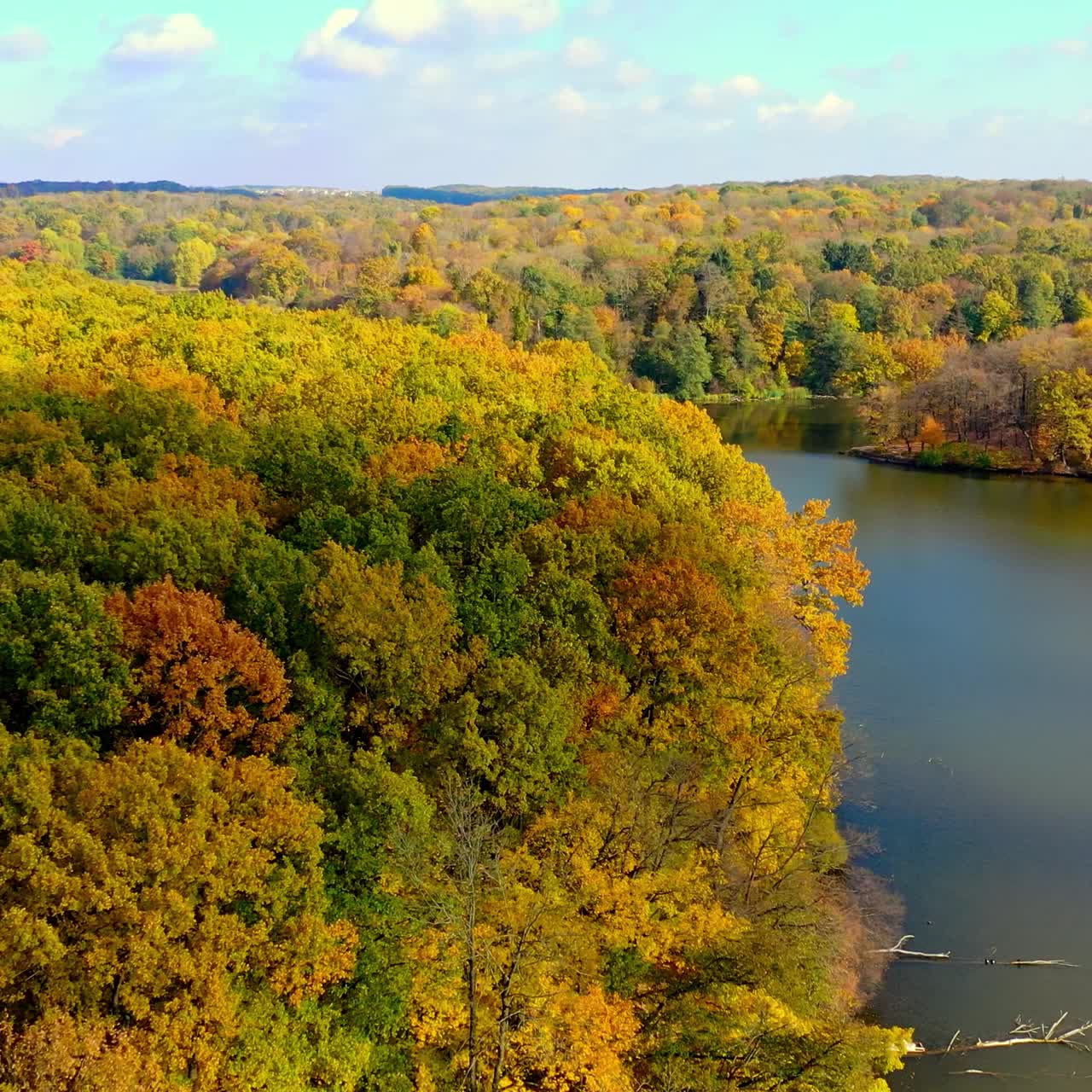 Yellow forest aerial top view. Autumn season river forest sceneries