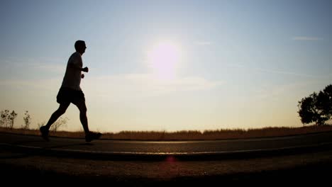 joggers and pet at sunrise outdoor chicago usa