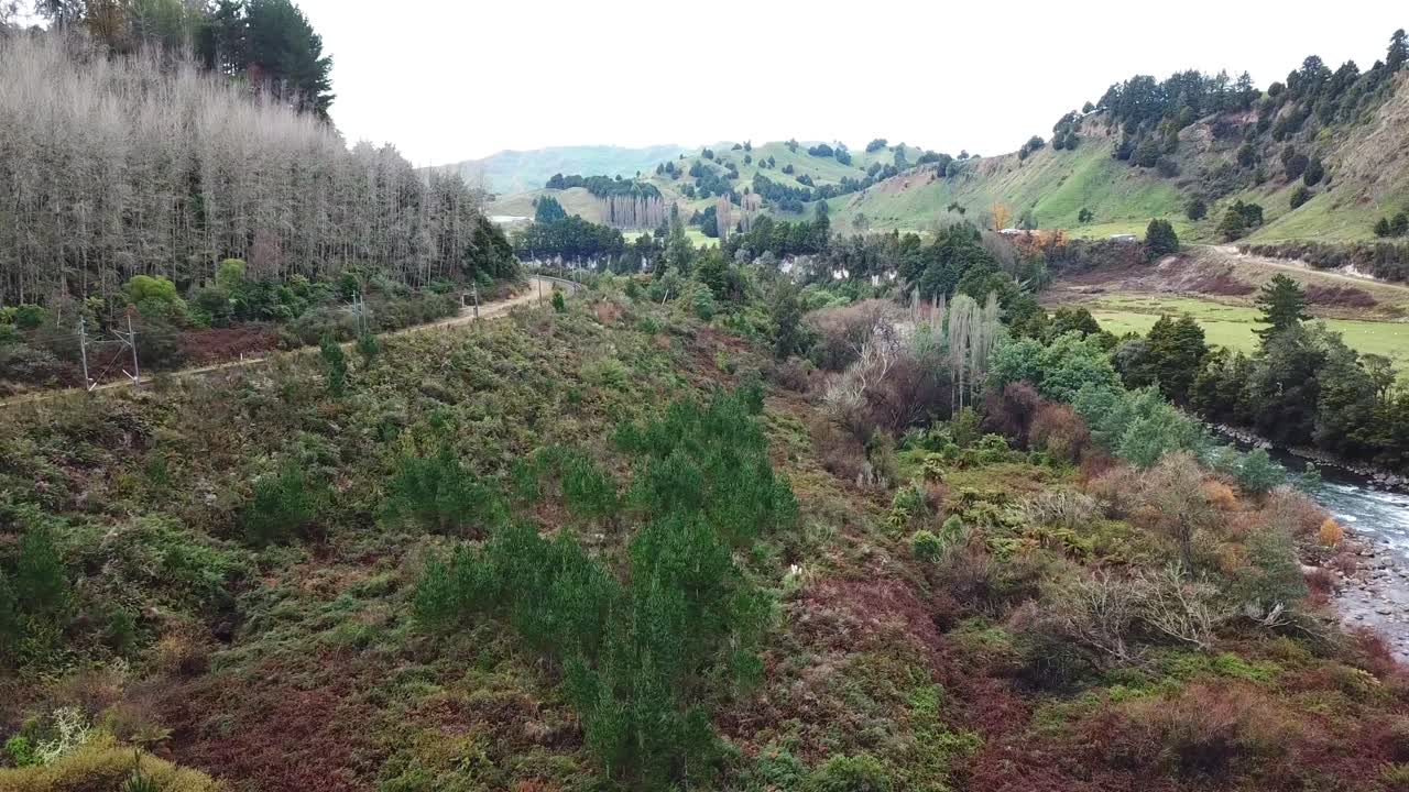 드론 샷, 철도 바로 위의 트럭, 숲, 그리고 뉴질랜드의 강을 향해