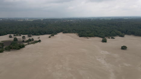 Descripción-Aérea-De-Hermosas-Dunas-De-Arena-Cerca-Del-Borde-Del-Bosque