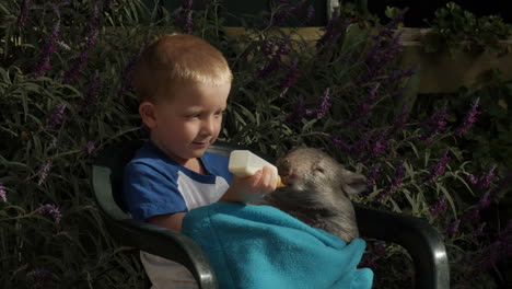 boy smiles at the camera while feeding a cute baby wombat