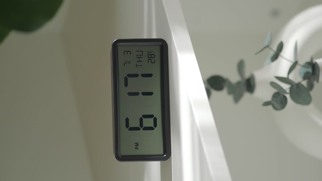 Digital Clock with Eucalyptus Plant