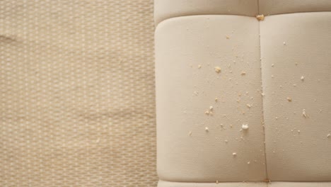 bread crumbs on a beige sofa