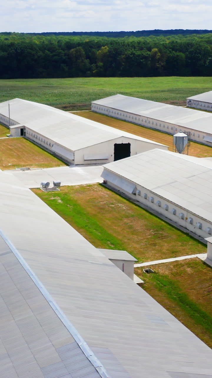 Long farm buildings in nature environment. Flight over many white agriculture farm houses on field. Modern warehouses and livestock farms. Vertical video