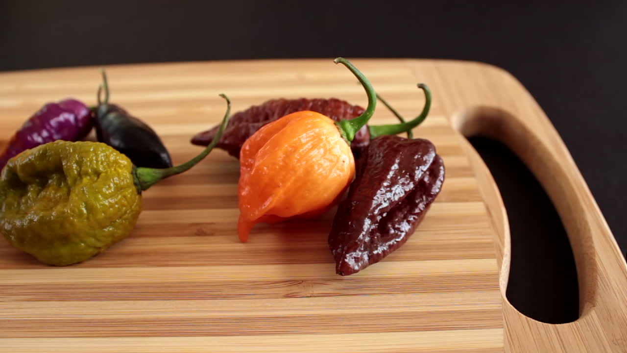 박람회에서 칠리 고추