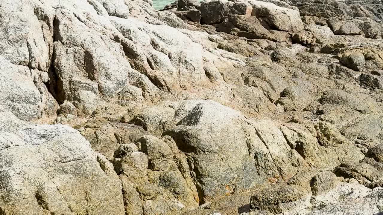 Vista panoramica di barche tradizionali che galleggiano in acque turchesi vicino a una spiaggia tropicale sabbiosa