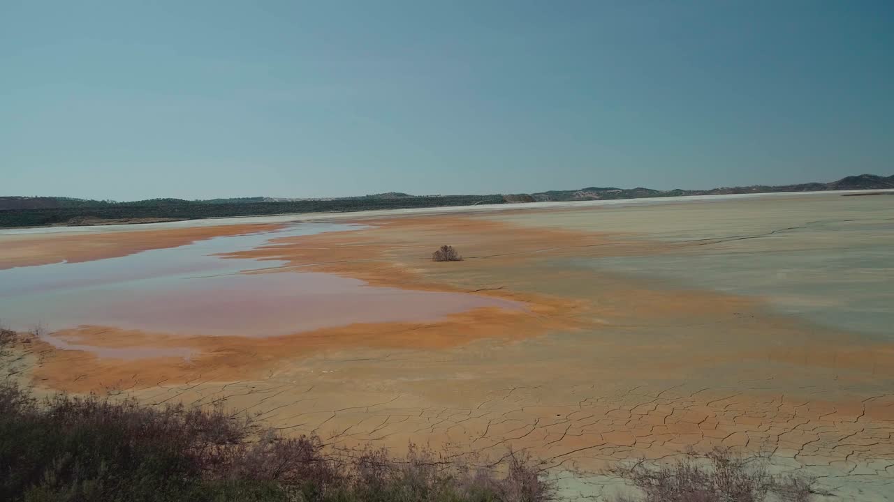 primer plano aéreo rápido de un árbol