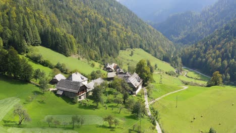 toma de ariel de una cabaña de madera en medio de un bosque y un valle, črna na koroškem, eslovenia