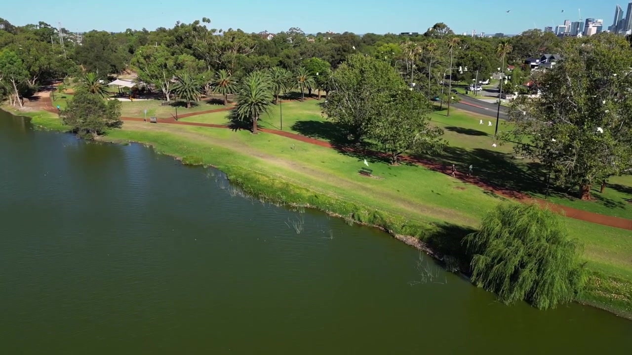 Volo in avanti sopra un tranquillo lago urbano con stormi di uccelli in volo sopra un'area verde e alberi autoctoni lungo la riva e lo skyline della città in lontananza. Riserva Galup, Perth, Australia.