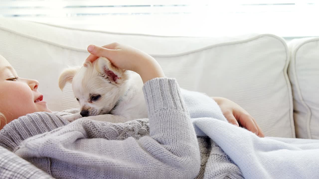 소파에 누워 있는 작은 소녀가 집에서 애완동물을  ⁇ 고 있다 4k 4k