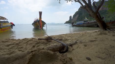 thai boats anchored to sandy beach with tree -thailand longtail tour