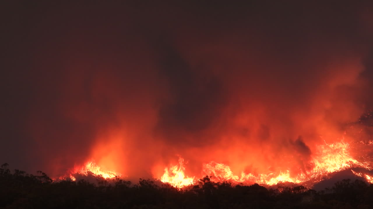 incendio forestal fairview fuego al rojo vivo naranjas grandes llamas humo negro noche