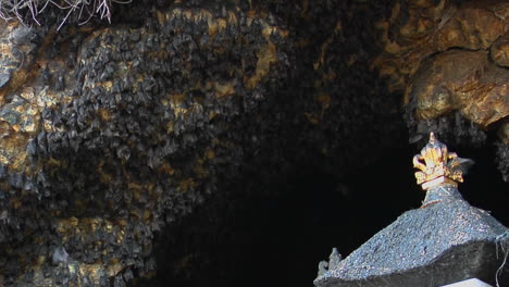 los murciélagos cuelgan de una pared en el templo de pura goa lawah en indonesia