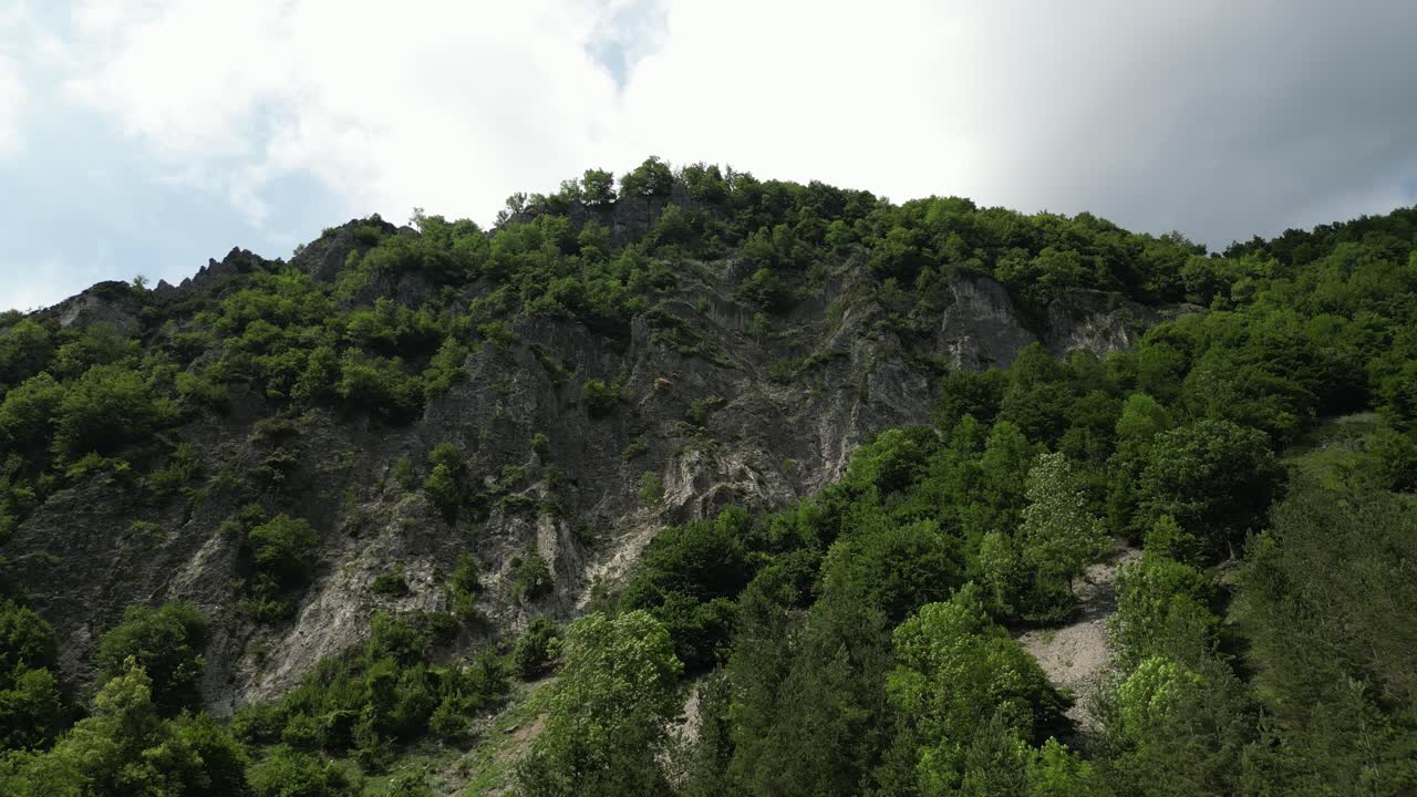 toma de ángulo bajo de una montaña cubierta de exuberante vegetación verde en lepsa, rumania