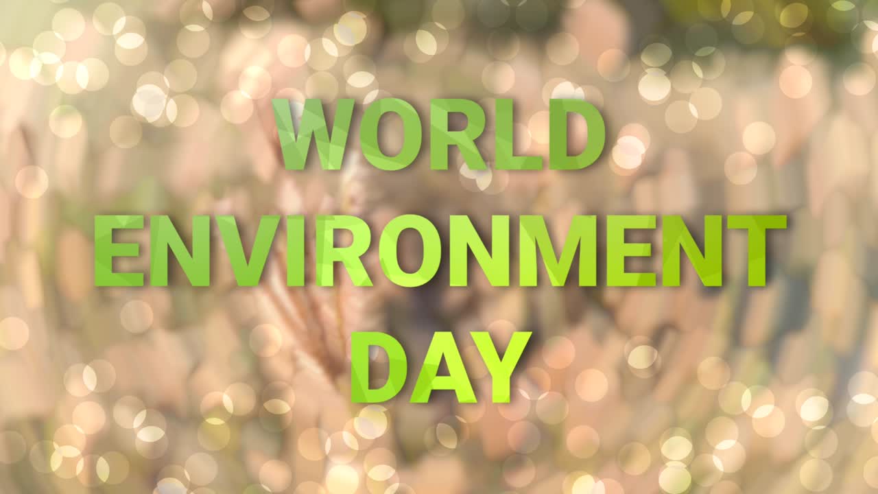 세계 환경의 날: 자연 풀 위에 고립된 단어 선, 바람에 흔들리는 영상, 밝은 자연 친화적 인 애니메이션