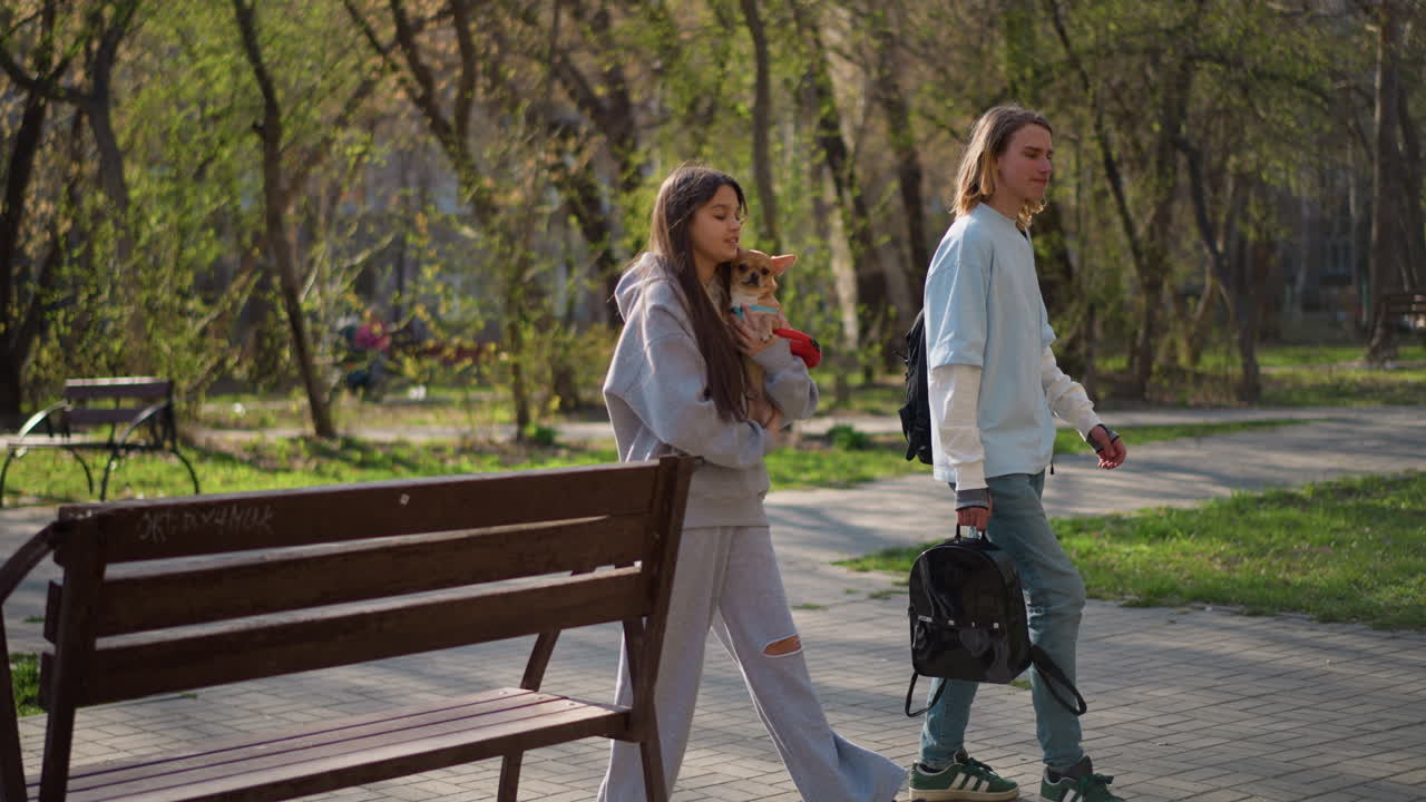 벤치 옆에 서 있는 백인 여성이 앉아 있는 개를 안고 있는 백인 친구에게 백팩을 건네주며 이야기를 나누고, 지지적인 어조, 봄 나무, 공원 벤치 장면, 따뜻한 자연광, 편안한 바디 랭귀지